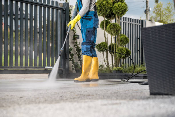 Best Sidewalk and Walkway Cleaning  in Montrose, CO